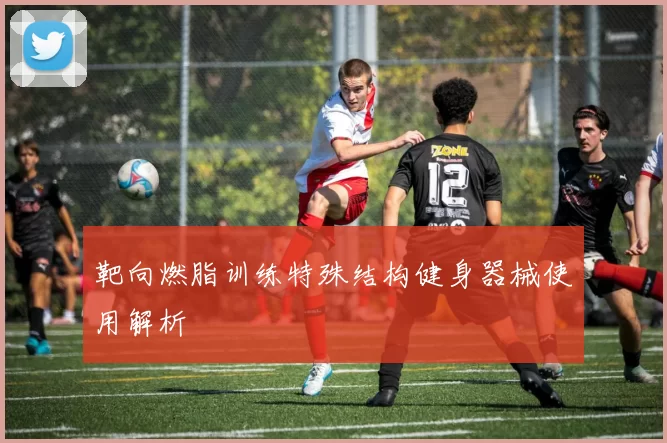 靶向燃脂训练特殊结构健身器械使用解析