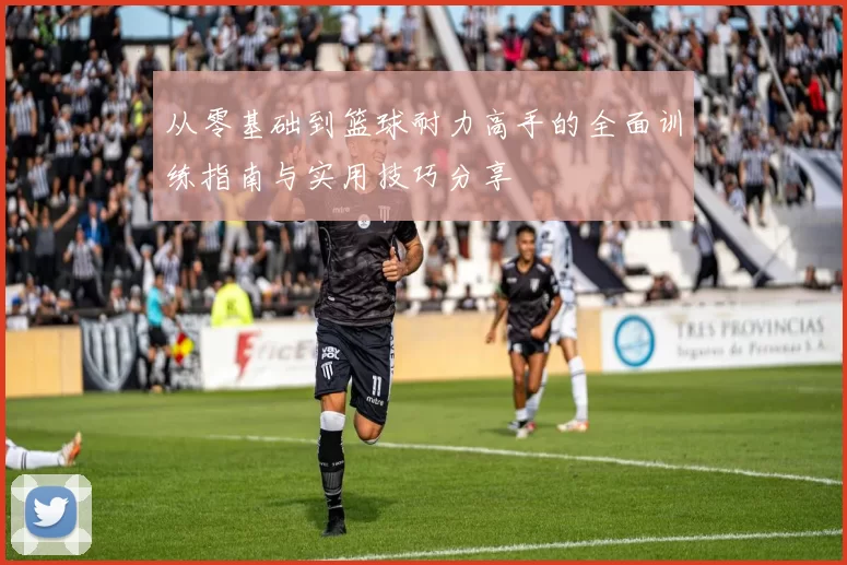 从零基础到篮球耐力高手的全面训练指南与实用技巧分享