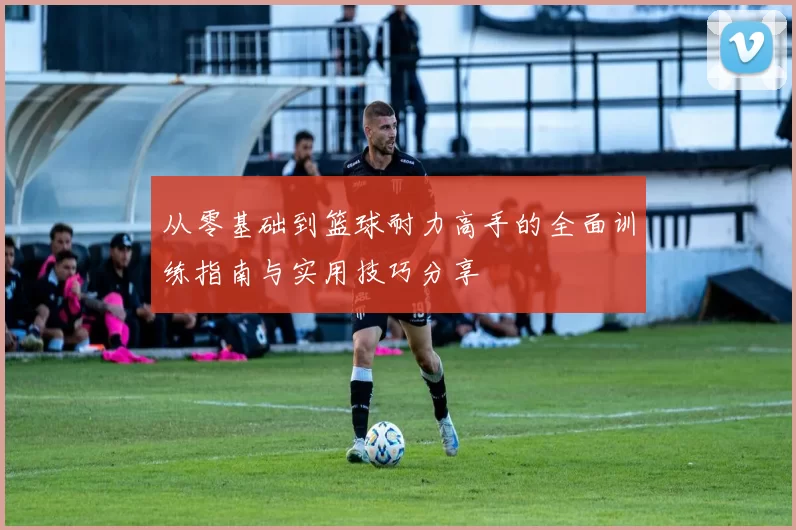 从零基础到篮球耐力高手的全面训练指南与实用技巧分享