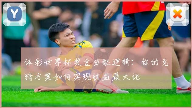 体彩世界杯奖金分配逻辑:你的竞猜方案如何实现收益最大化