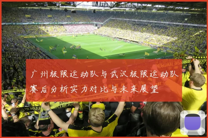 广州极限运动队与武汉极限运动队赛后分析实力对比与未来展望