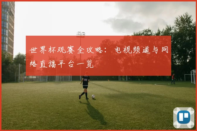 世界杯观赛全攻略：电视频道与网络直播平台一览