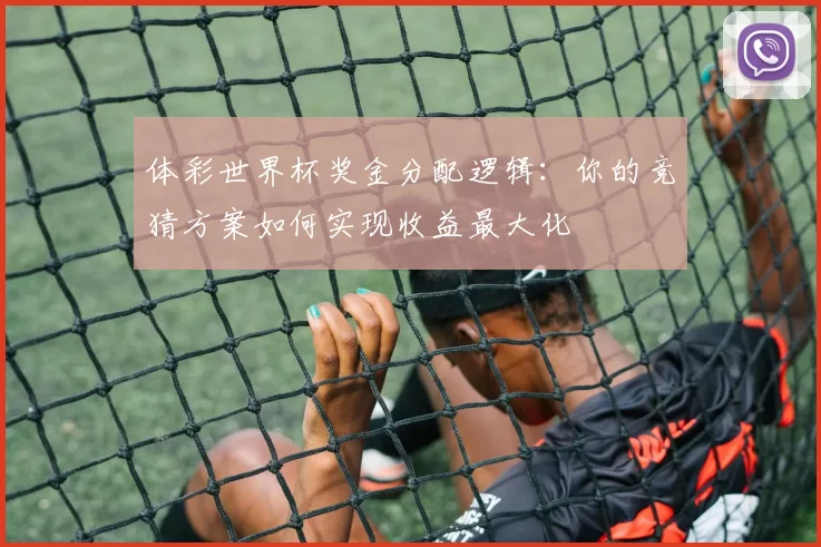体彩世界杯奖金分配逻辑:你的竞猜方案如何实现收益最大化