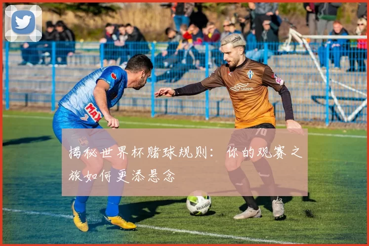 揭秘世界杯赌球规则:你的观赛之旅如何更添悬念