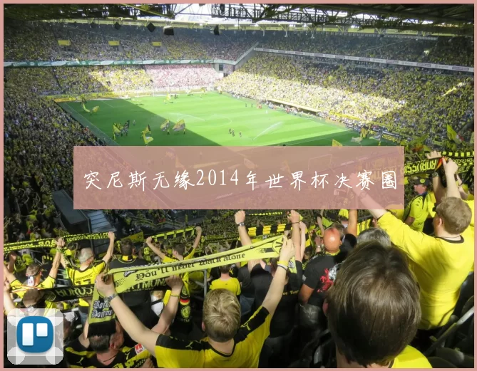 突尼斯无缘2014年世界杯决赛圈