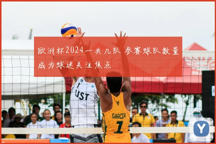 欧洲杯2024一共几队 参赛球队数量成为球迷关注焦点