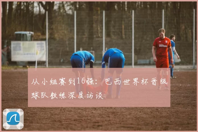从小组赛到16强：巴西世界杯晋级球队教练深度访谈