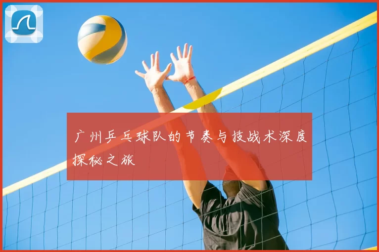 广州乒乓球队的节奏与技战术深度探秘之旅