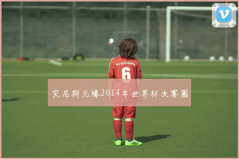 突尼斯无缘2014年世界杯决赛圈