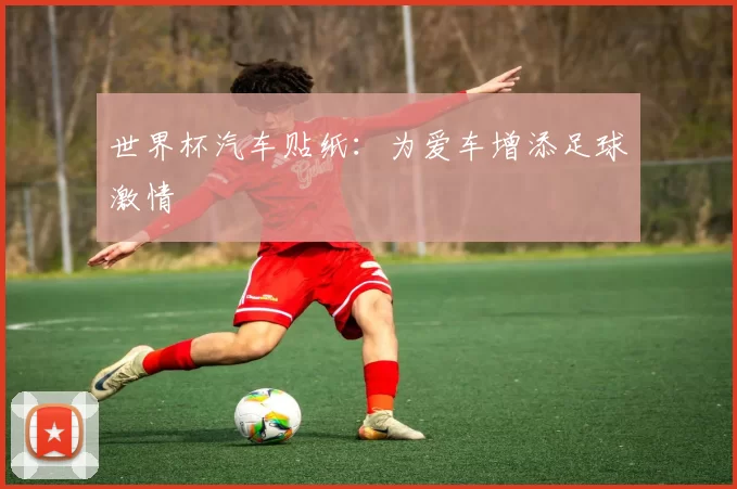 世界杯汽车贴纸:为爱车增添足球激情