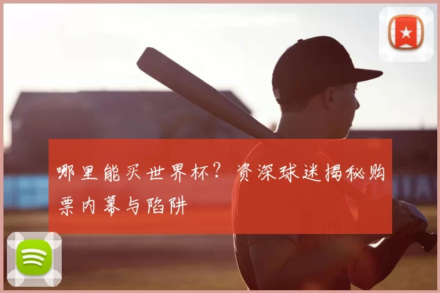 哪里能买世界杯？资深球迷揭秘购票内幕与陷阱