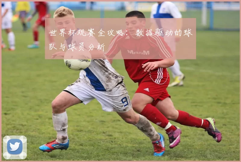 世界杯观赛全攻略：数据驱动的球队与球员分析