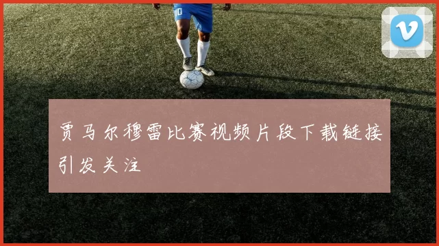 贾马尔穆雷比赛视频片段下载链接引发关注