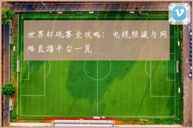 世界杯观赛全攻略：电视频道与网络直播平台一览